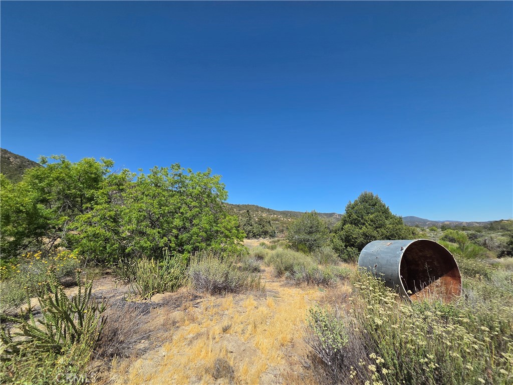 37210 Bohlen Property Photo 4