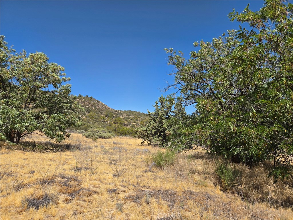 37210 Bohlen Property Photo 5