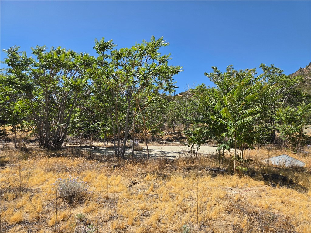 37210 Bohlen Property Photo 6