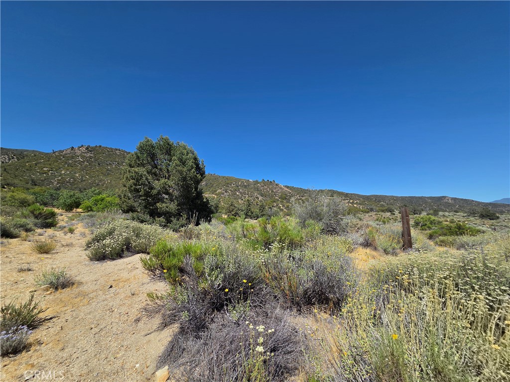 37210 Bohlen Property Photo 8