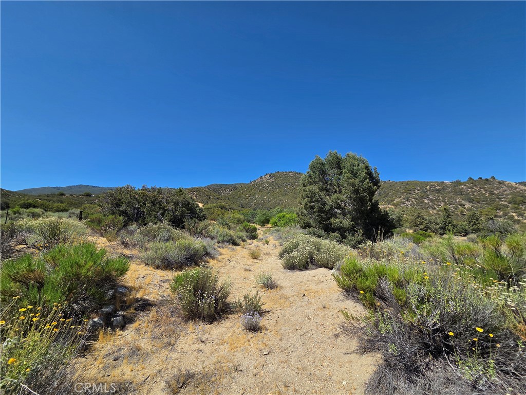 37210 Bohlen Property Photo 9