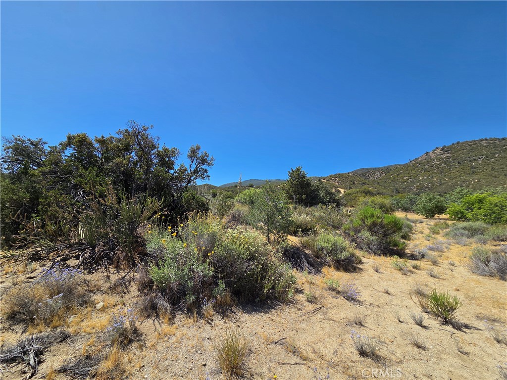 37210 Bohlen Property Photo 10