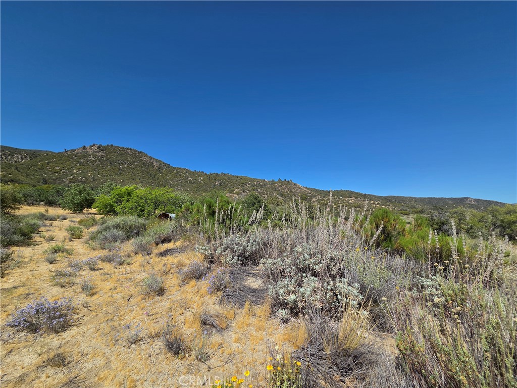 37210 Bohlen Property Photo 11