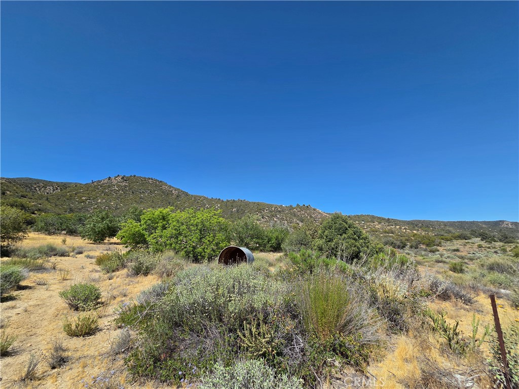 37210 Bohlen Property Photo 12