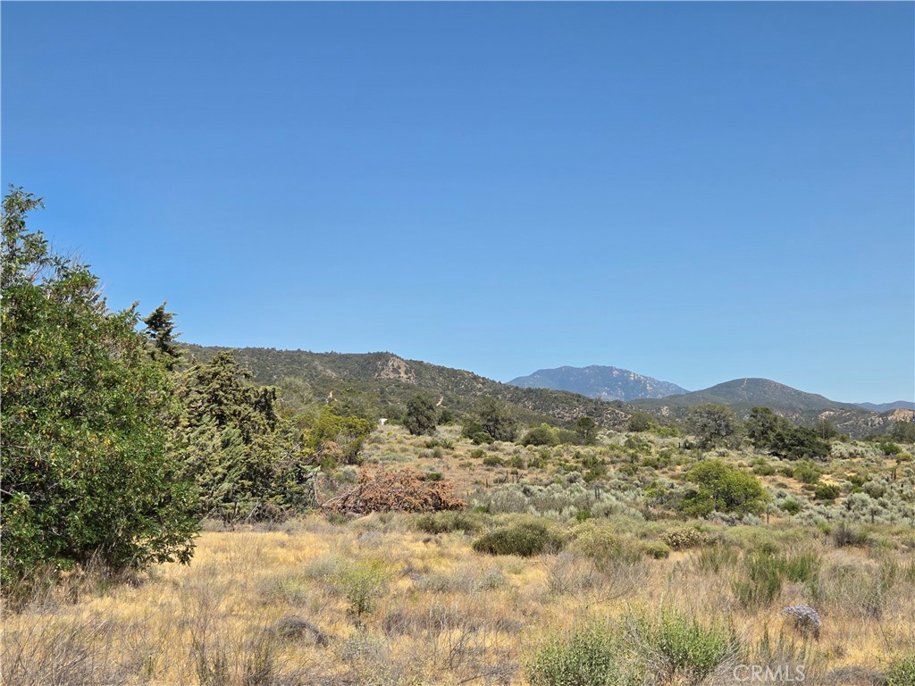 37210 Bohlen Property Photo 14