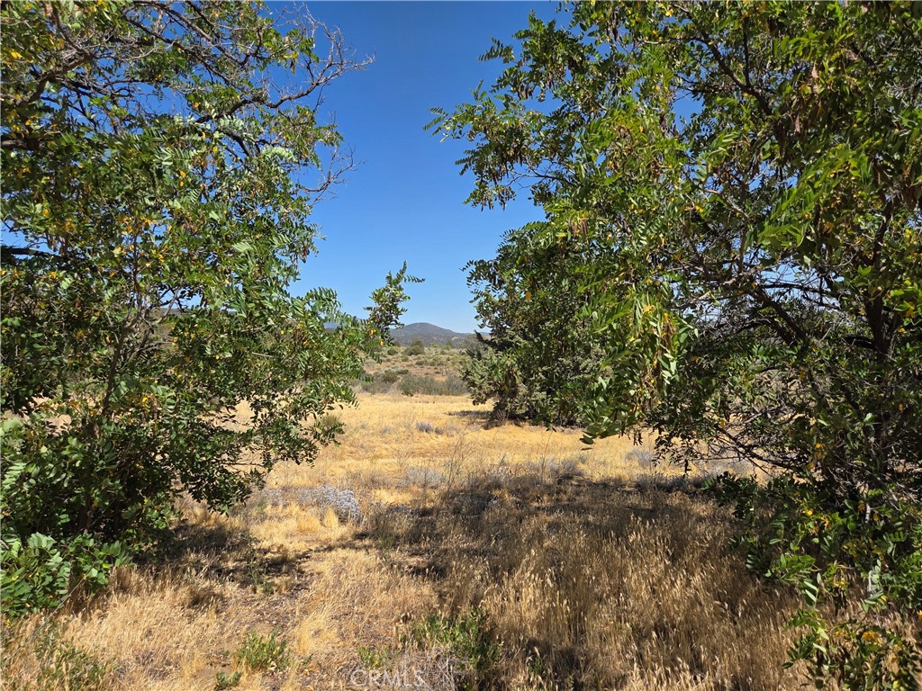 37210 Bohlen Property Photo 15