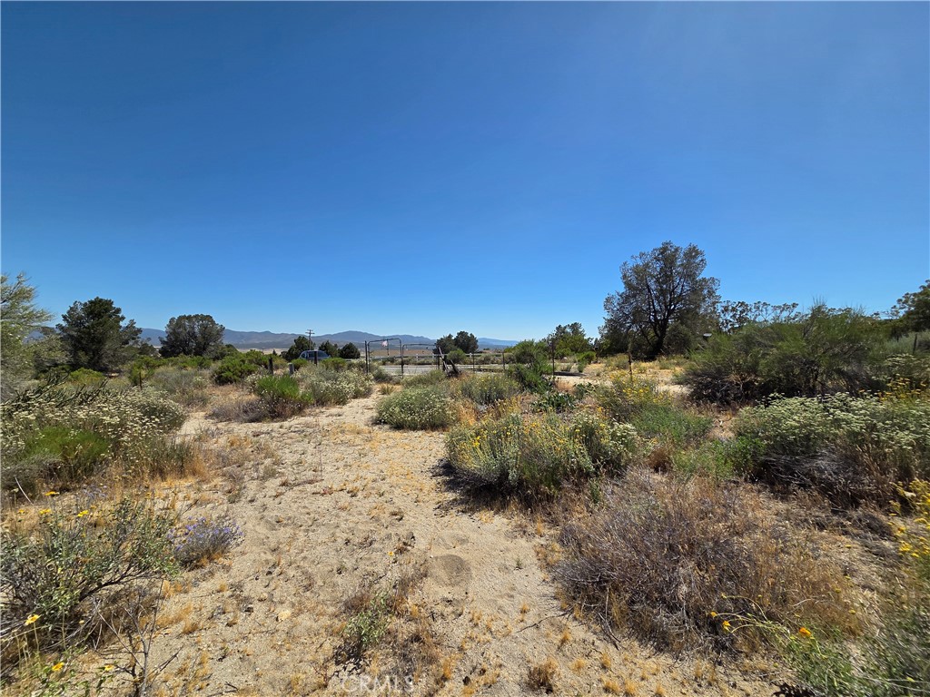 37210 Bohlen Property Photo 18