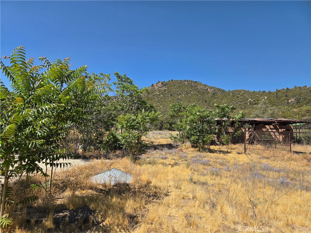 37210 Bohlen Property Photo 19