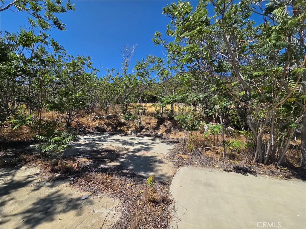 37210 Bohlen Property Photo 22