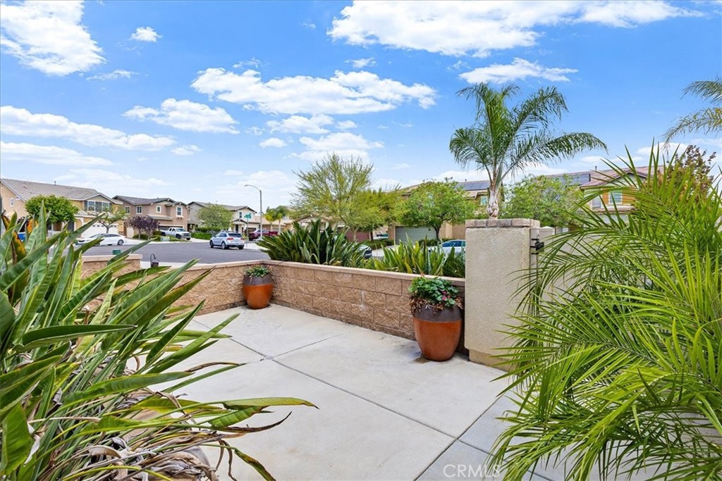 31559 Rose Sage Way Property Photo 6