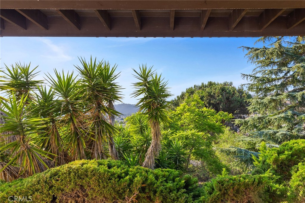 1232 La Paloma Glen Property Photo 33