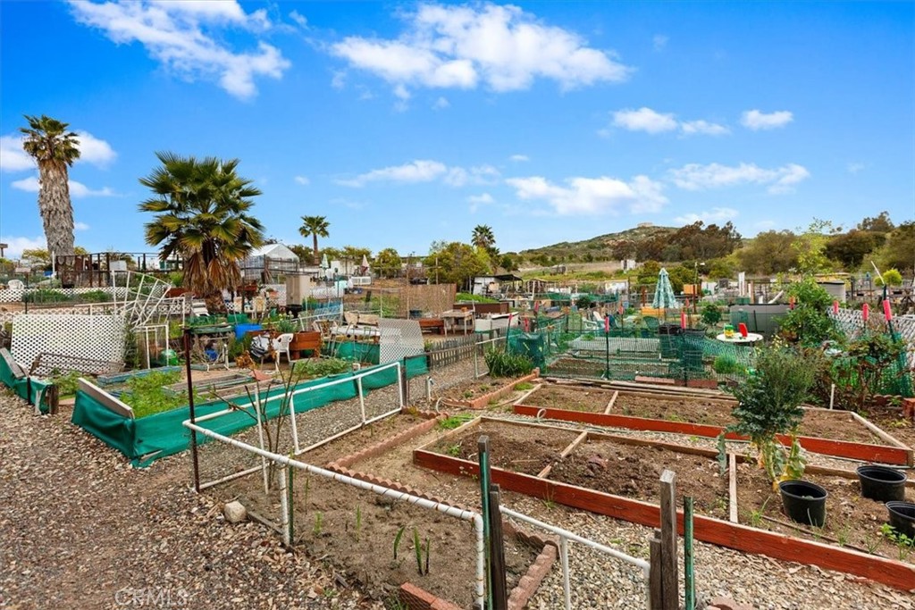 3384 Don Diablo Property Photo 47