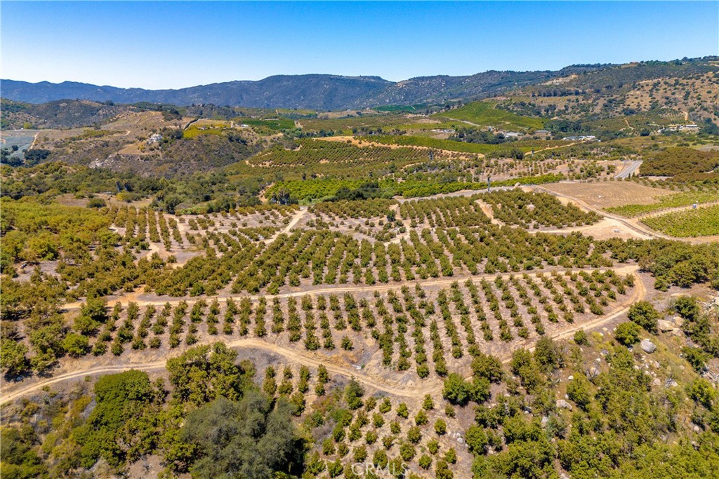 2526 Camaron Property Photo 8