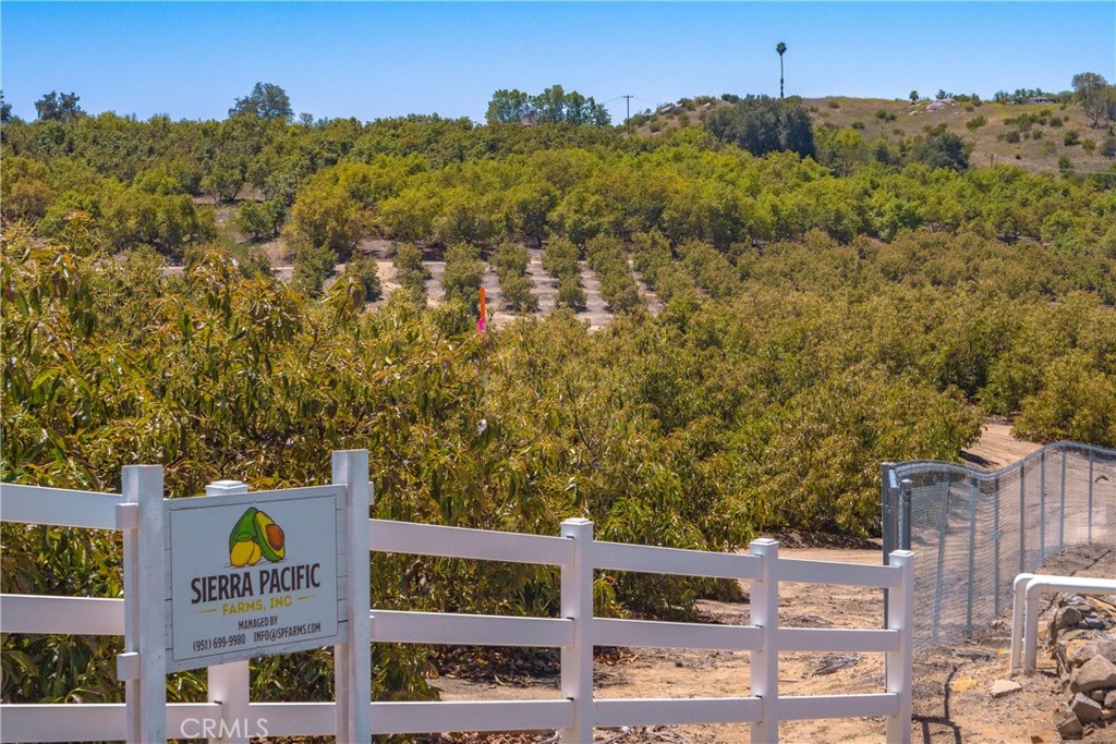 2526 Camaron Property Photo 11