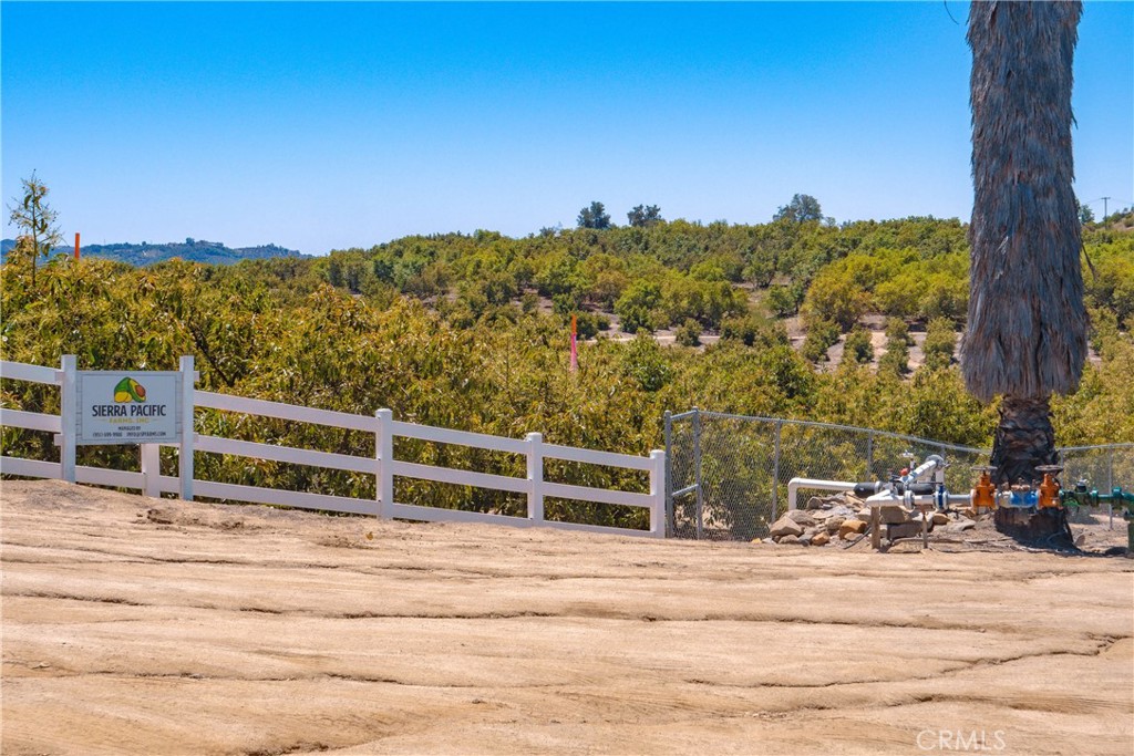 2526 Camaron Property Photo 12