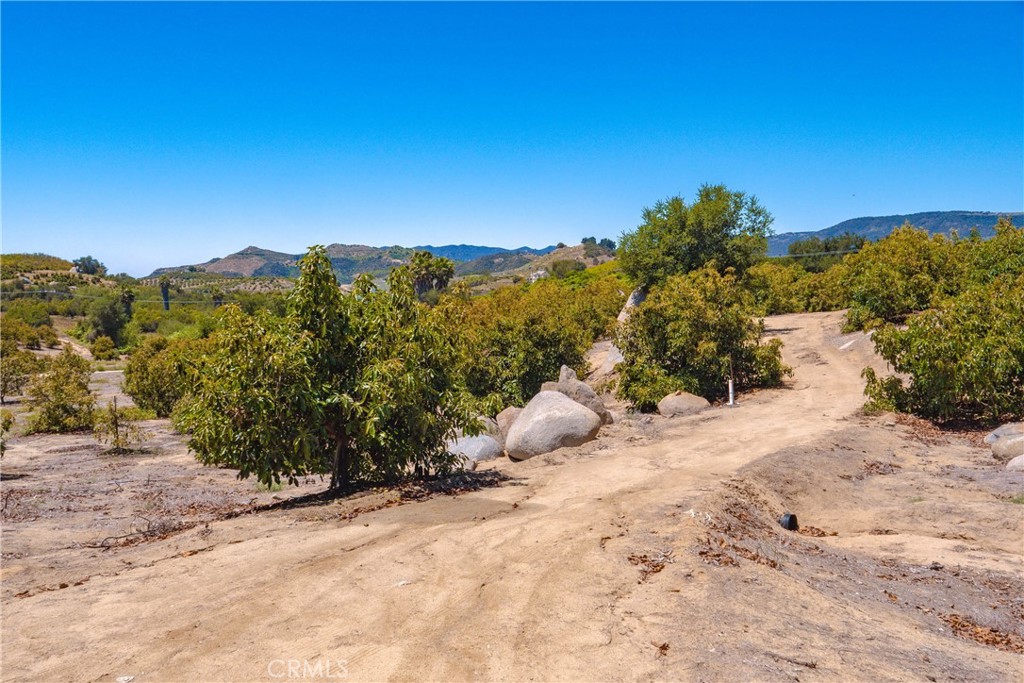 2526 Camaron Property Photo 13