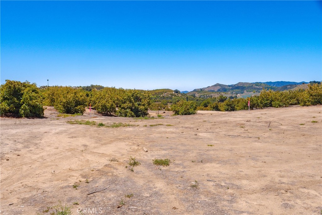 2526 Camaron Property Photo 14