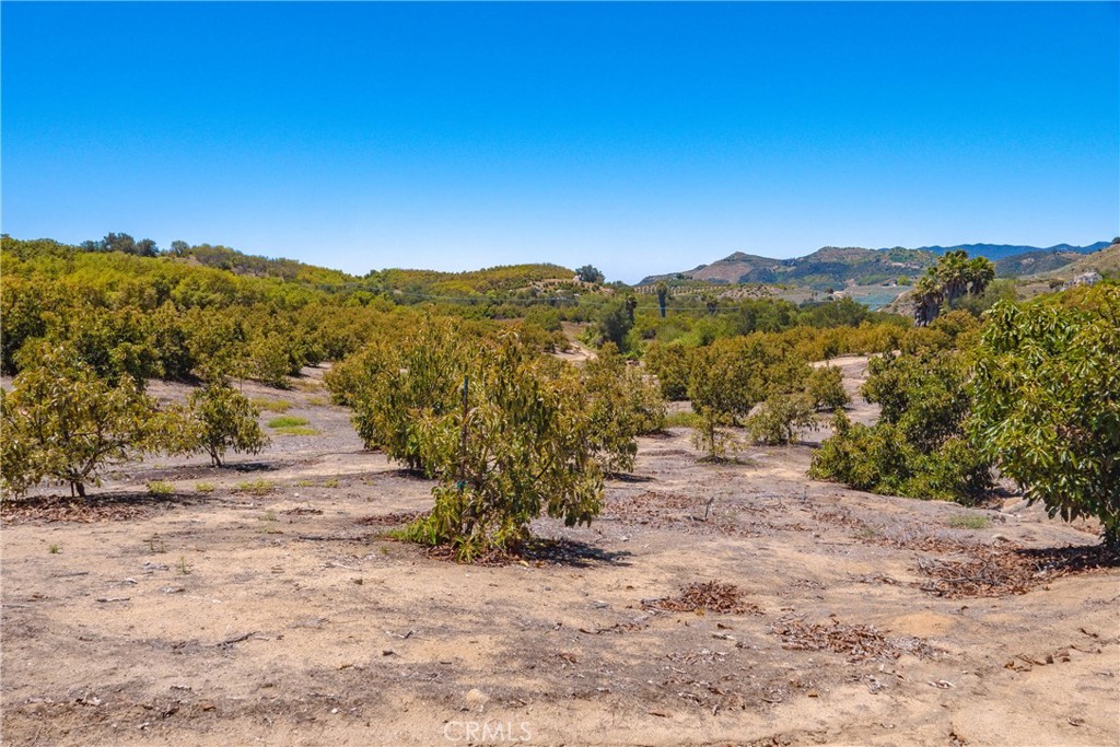 2526 Camaron Property Photo 15