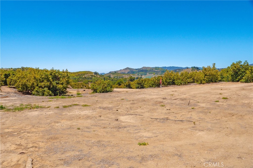 2526 Camaron Property Photo 16