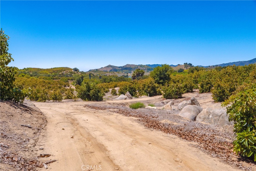 2526 Camaron Property Photo 17