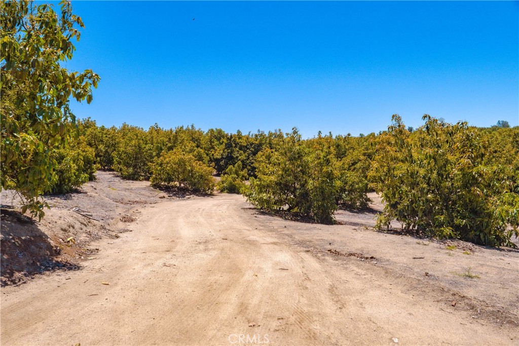 2526 Camaron Property Photo 18