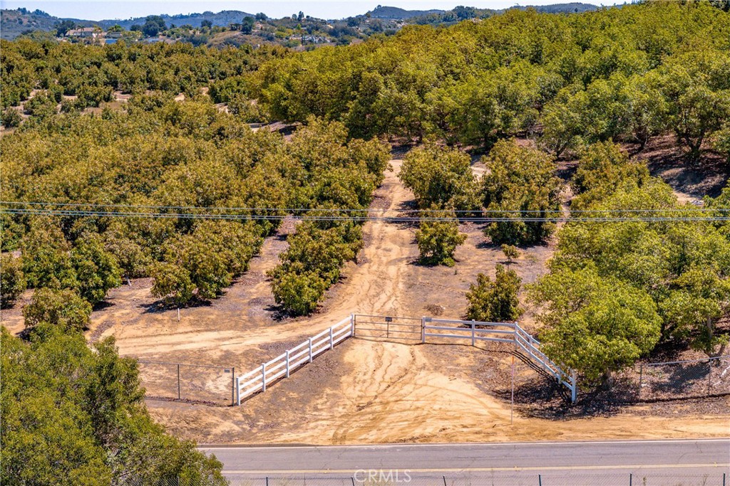 2526 Camaron Property Photo 22