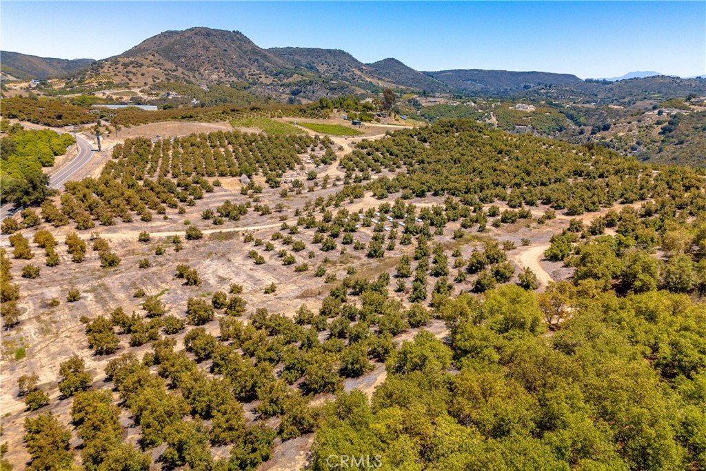 2526 Camaron Property Photo 23