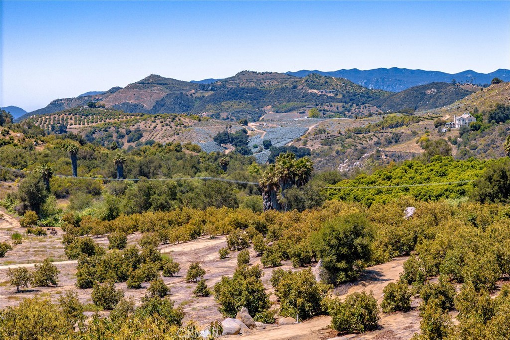 2526 Camaron Property Photo 27