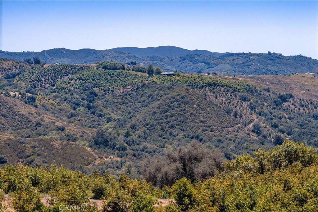 2526 Camaron Property Photo 28