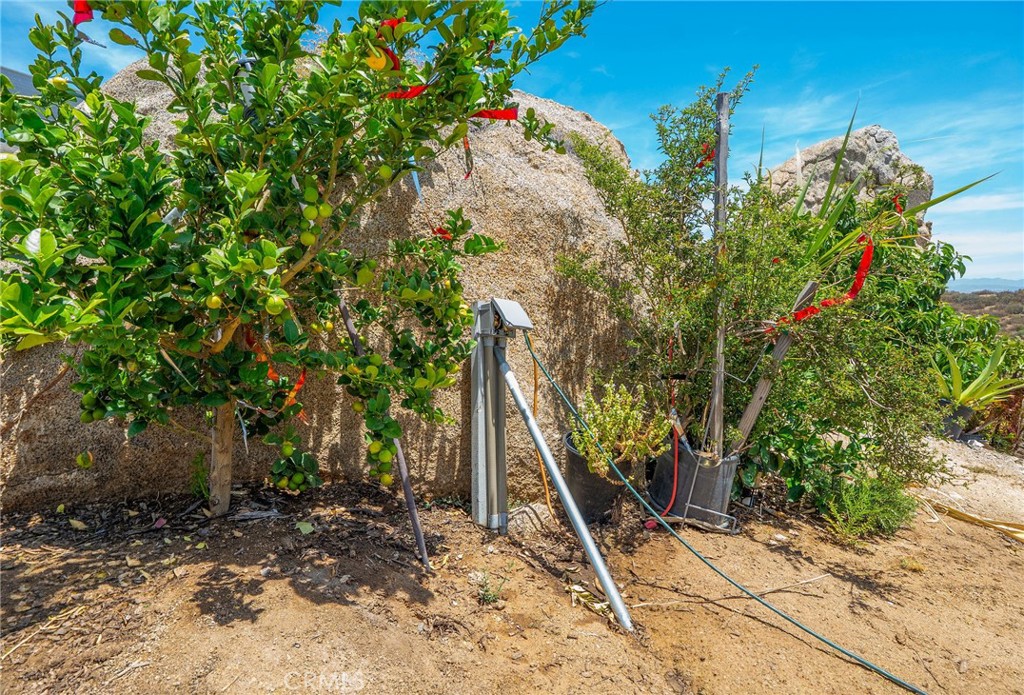 41720 Oak Canyon Road Property Photo 24