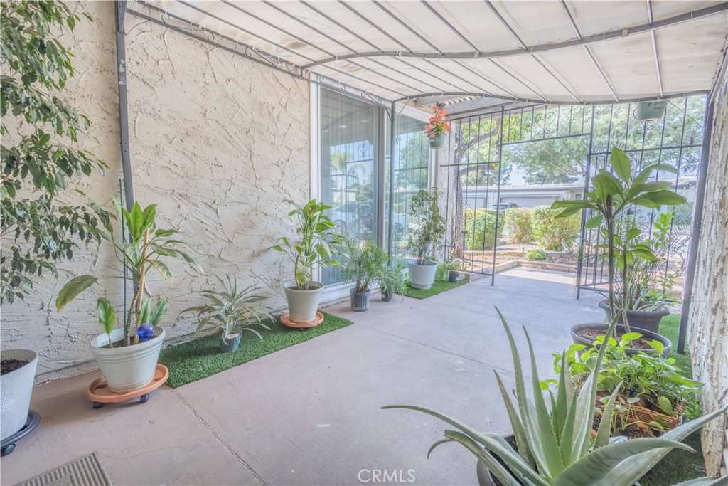 26044 Verde Grande Court Property Photo 4