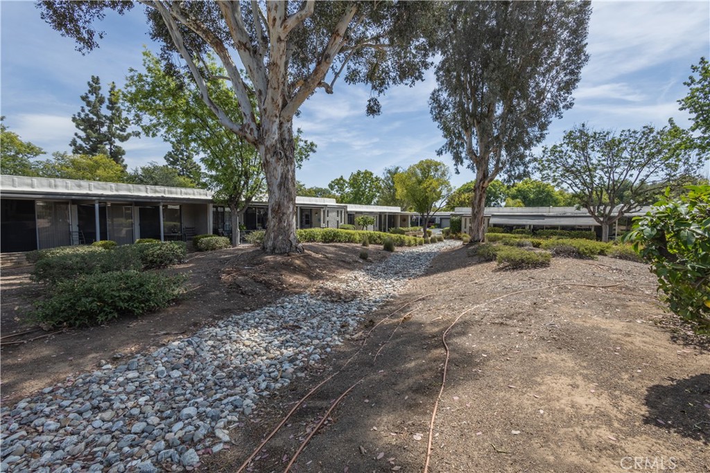 26044 Verde Grande Court Property Photo 27