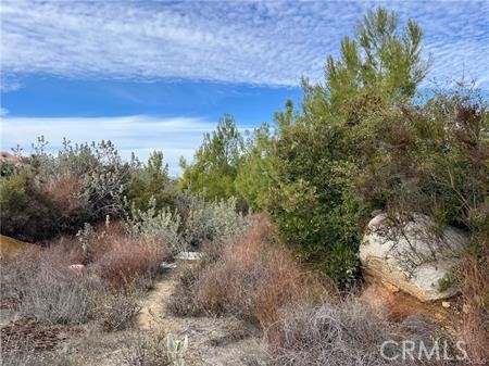 0 Calle Paramo Property Photo 6