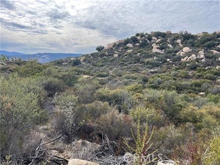 0 Calle Paramo Property Photo 12