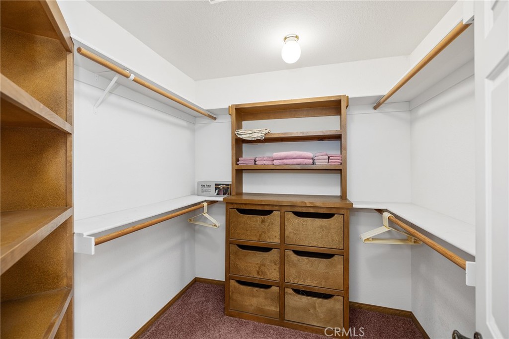 30127 White Wake Property Photo 41