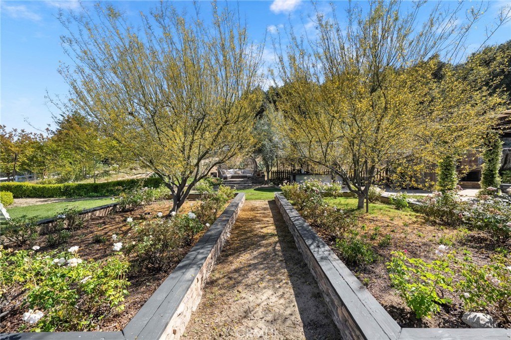 43455 Corona Cala Camino Property Photo 45
