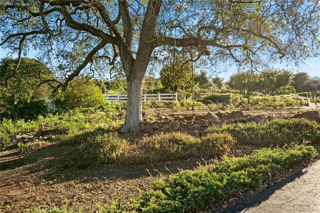 43455 Corona Cala Camino Property Photo 61