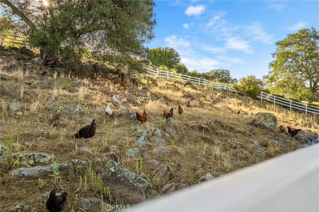 43455 Corona Cala Camino Property Photo 68