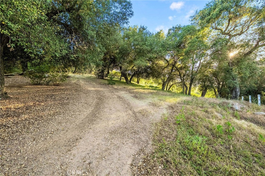 43455 Corona Cala Camino Property Photo 74