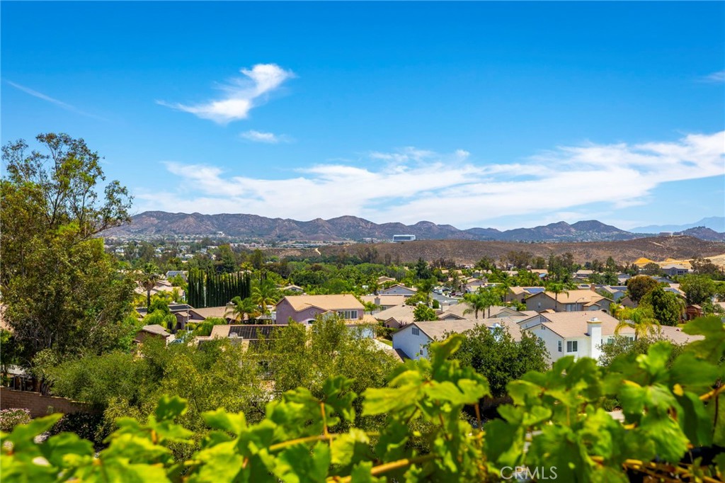 42711 Mountain Shadow Road Property Photo 30