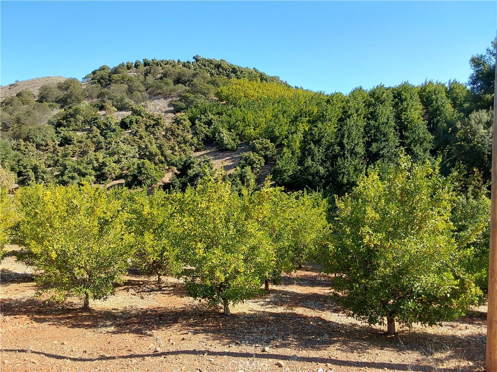3 Via Vaquero Property Photo 1