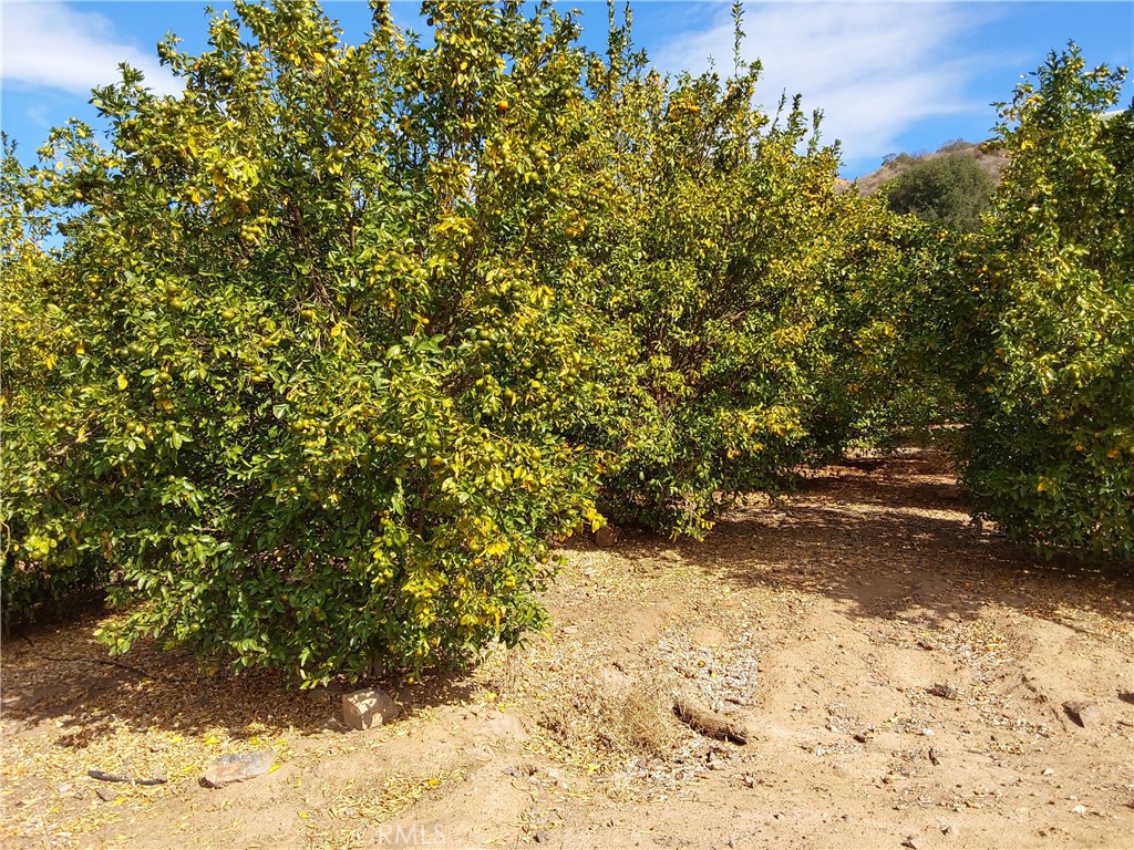 3 Via Vaquero Property Photo 3