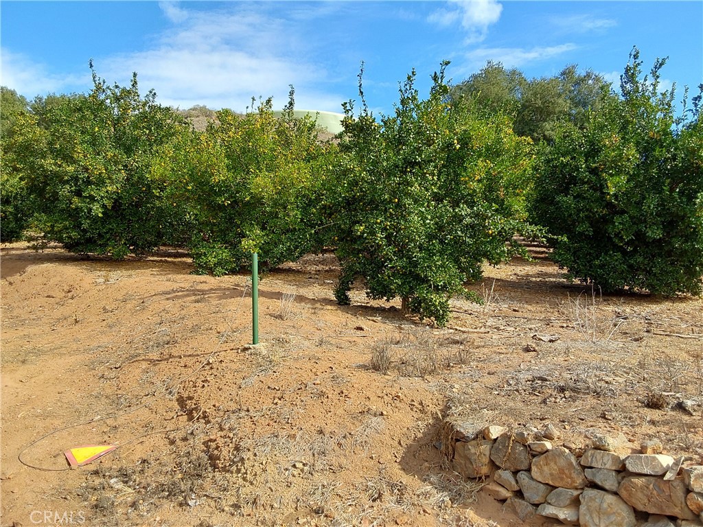 3 Via Vaquero Property Photo 4