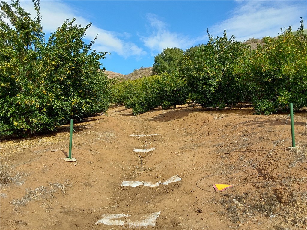 3 Via Vaquero Property Photo 6
