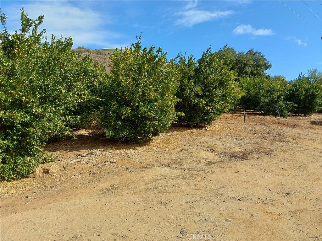 3 Via Vaquero Property Photo 7