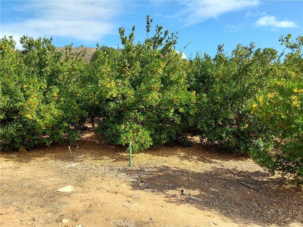 3 Via Vaquero Property Photo 8