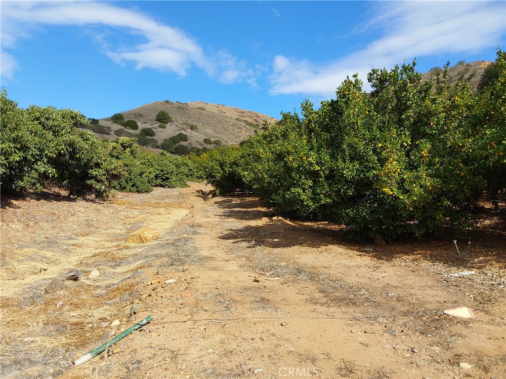 3 Via Vaquero Property Photo 9