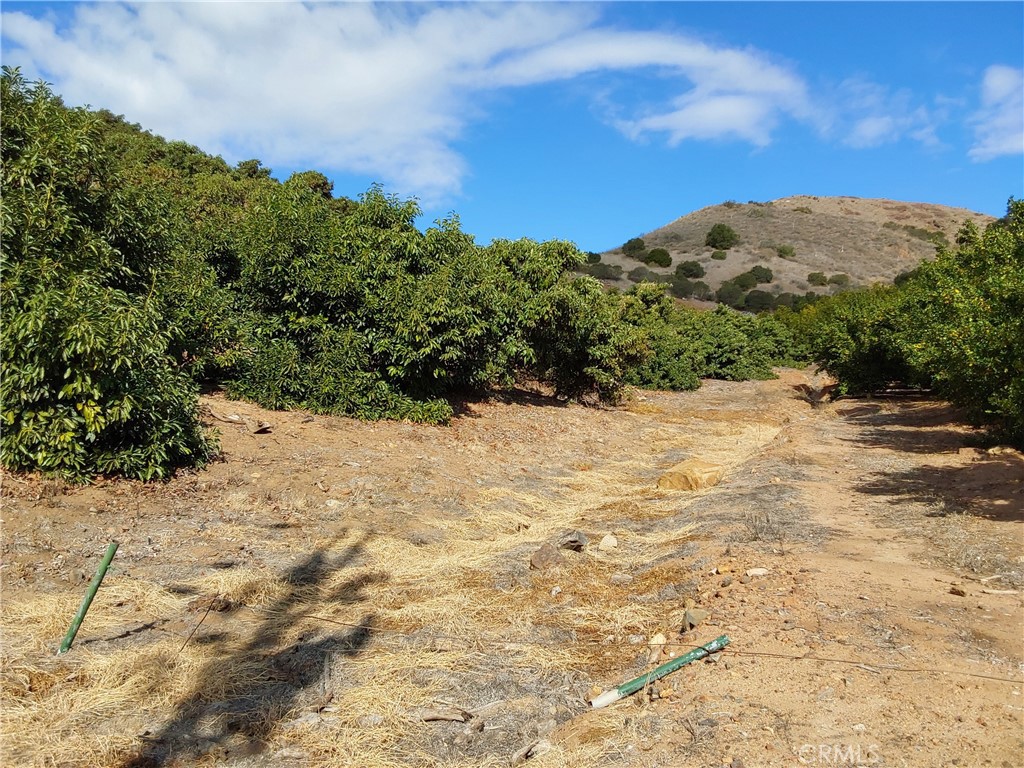 3 Via Vaquero Property Photo 10