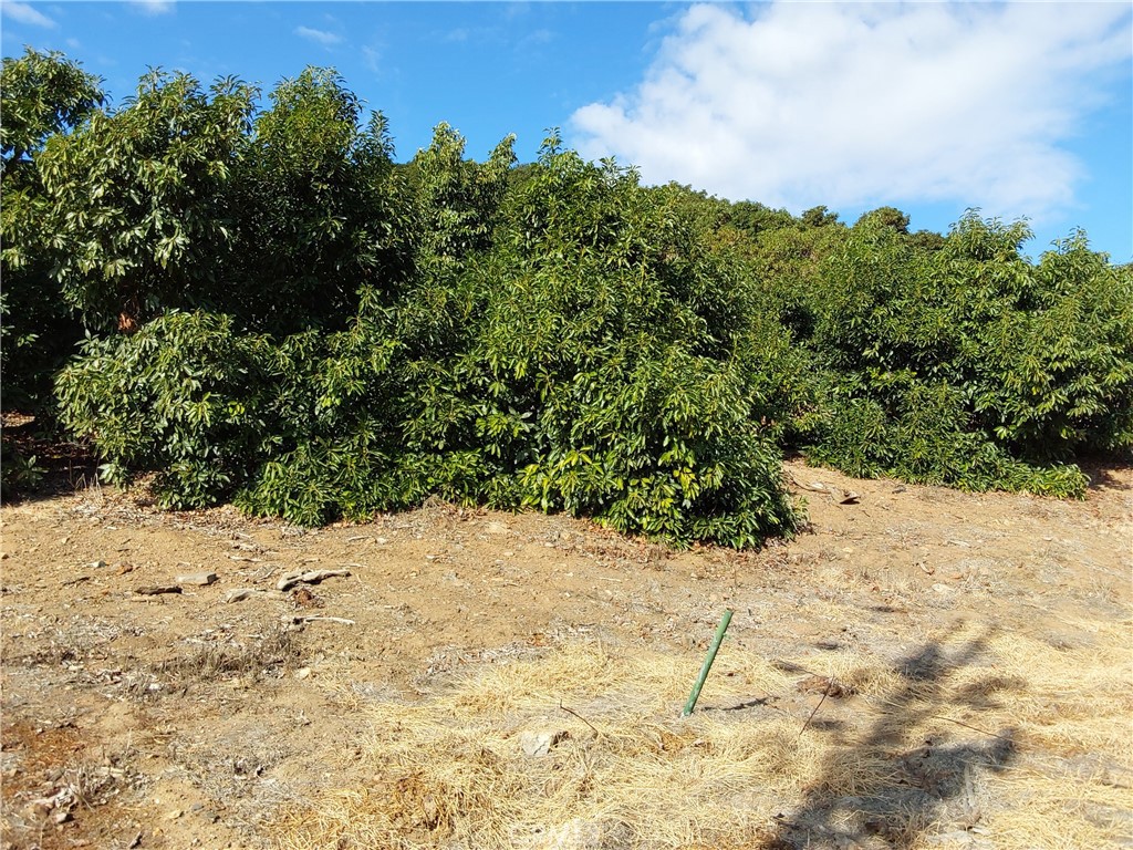 3 Via Vaquero Property Photo 11