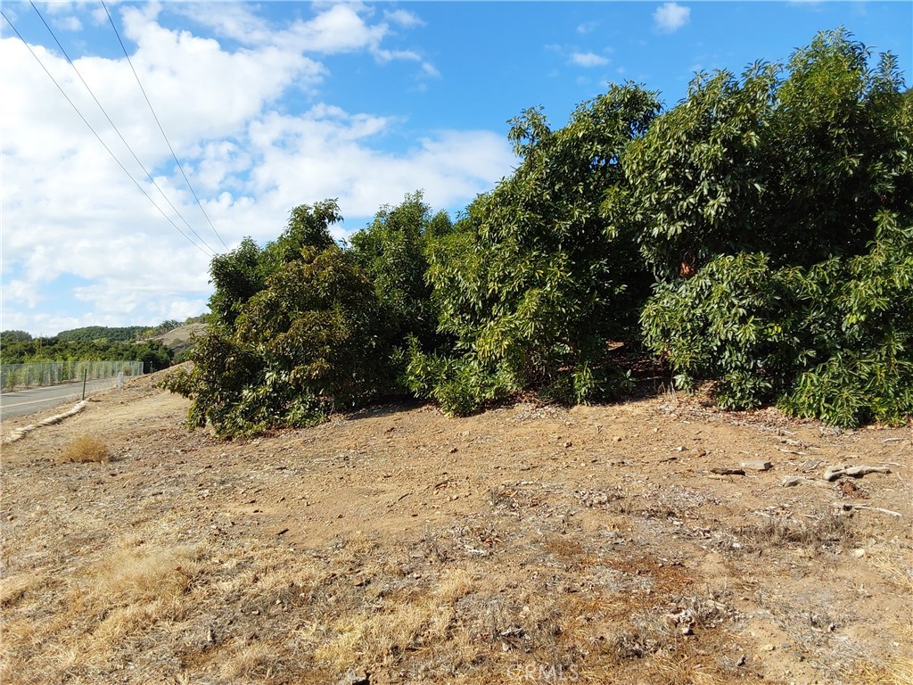 3 Via Vaquero Property Photo 12